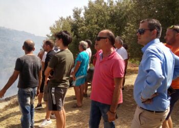 Ζητούν στήριξη τα ελαιοτριβεία στις πυρόπληκτες περιοχές, περίπου 500.000 ρίζες ελιές έγιναν στάχτη!