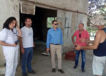 Σε εφαρμογή το πρόγραμμα περισυλλογής νεκρών ζώων και στα πυρόπληκτα  της Ηλείας