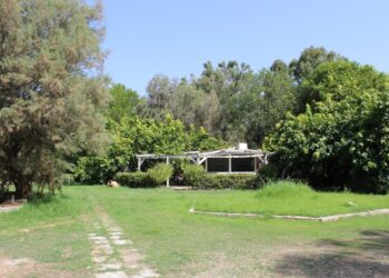 «Δεν αναγνωρίζουμε καμία εταιρεία αξιοποίησης των ακινήτων του Δημοσίου»
