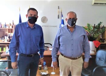 Εκπαίδευση αγροτών για φροντίδα ελαιοδέντρων στις πυρόπληκτες περιοχές