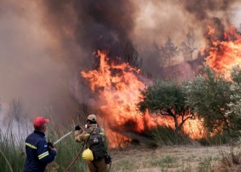 ΦΩΤΙΕΣ ΣΤΗΝ ΗΛΕΙΑ: Εντοπίστηκε ύποπτος για εμπρησμό (βίντεο)