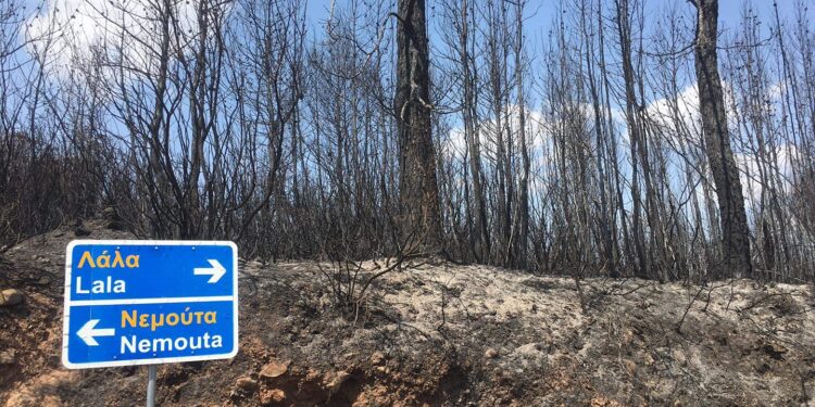 Το ΕΑΓΜΕ στον Δήμο Αρχαίας Ολυμπίας για προστασία από κατολισθήσεις