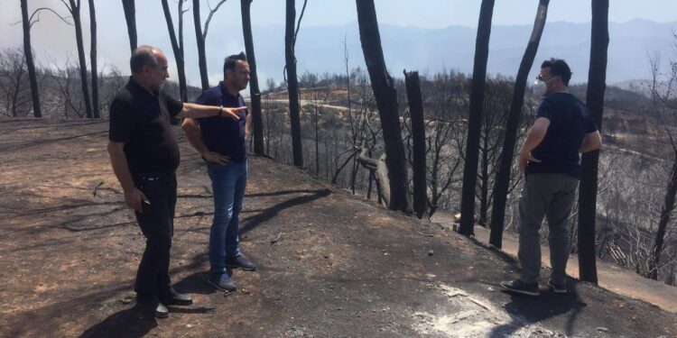 ΑΠΟΣΤΟΛΟΣ ΚΑΤΣΙΦΑΡΑΣ: “Οργή, θλίψη και απελπισία στην Ηλεία”