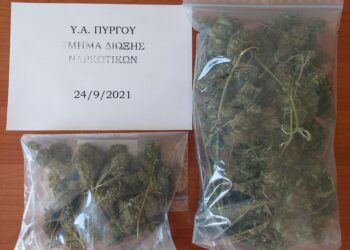 ΑΡΧΑΙΑ ΟΛΥΜΠΙΑ: Συνελήφθη άνδρας για καλλιέργεια και κατοχή ναρκωτικών