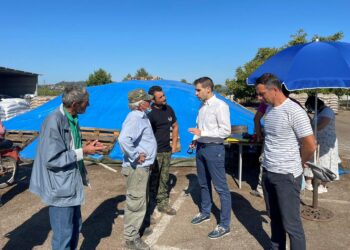 Διανομή ζωοτροφών σε κτηνοτρόφους πυρόπληκτων περιοχών από την Π.Ε Ηλείας
