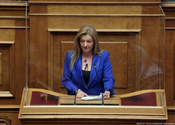 ΔΙΟΝΥΣΙΑ ΑΥΓΕΡΙΝΟΠΟΥΛΟΥ: “: «Πρέπει να συμπράξουν όλοι μαζί ώστε κανένα ζώο να μη μείνει άστεγο και κανένα ζώο να μη μείνει χωρίς οικογένεια ή καταφύγιο”
