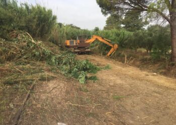 ΔΗΜΟΣ ΠΗΝΕΙΟΥ: Καθαρισμός τριών ρεμάτων