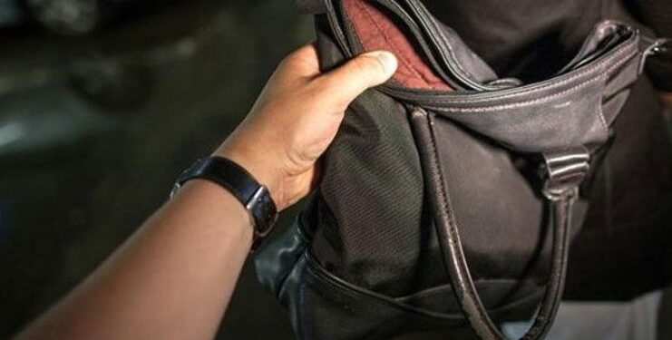 Συνελήφθησαν δύο άτομα στην Αμαλιάδα για ληστεία σε βάρος γυναίκας