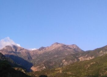 Οικολογική Δυτική Ελλάδα: Μαχαιριά στην καρδιά της Αιγιάλειας…