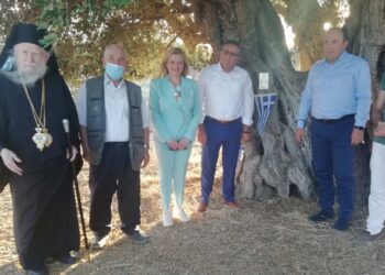 Ομιλία της Προέδρου της Επιτροπής Περιβάλλοντος της Βουλής, Δρ. Αυγερινοπούλου, στην πρώτη επετειακή εκδήλωση σήμανσης της υπεραιωνόβιας ελιάς στην Ηλεία