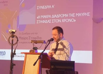 ΝΙΚΟΣ ΚΟΡΟΒΕΣΗΣ: “Ο μαύρος χρυσός όπλο της τοπικής οικονομίας”