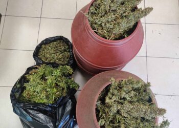 Συνελήφθη άνδρας στην Ηλεία για καλλιέργεια και κατοχή ναρκωτικών και παράνομη οπλοκατοχή