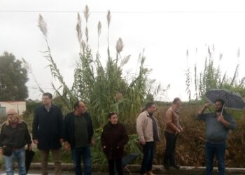 Ν.Ε. ΣΥΡΙΖΑ ΗΛΕΙΑΣ: Επίσκεψη στις πληγείσες περιοχές του Ηλειακού Κάμπου