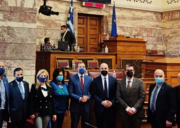 ΔΙΟΝΥΣΙΑ ΑΥΓΕΡΙΝΟΠΟΥΛΟΥ: Παρέμβαση στην ενημέρωση του Επιτρόπου της ΕΕ, κ. Σινκεβίτσιους, για την Ευρωπαϊκή Πράσινη Συμφωνία