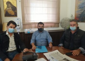 ΔΗΜΟΣ ΠΥΡΓΟΥ: Ολοκληρωμένη φροντίδα για τα αδέσποτα ζώα συντροφιάς του Δήμου Πύργου