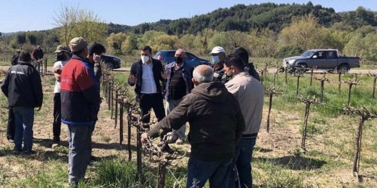 ΑΝΔΡΕΑΣ ΝΙΚΟΛΑΚΟΠΟΥΛΟΣ: “Αναγκαία η συνδεδεμένη ενίσχυση για τα «πληγωμένα» αγροτικά προϊόντα”
