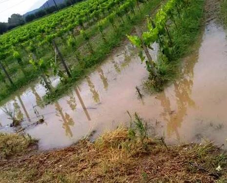 Αιτήσεις δήλωσης ζημιάς σε γεωργικές εκμεταλλεύσεις
