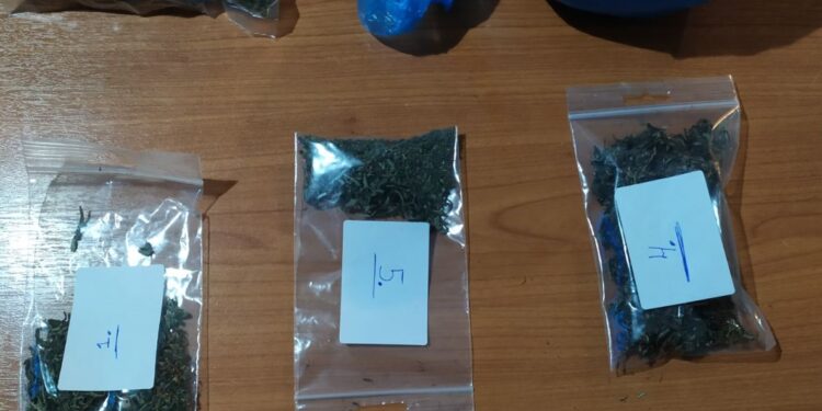 Συνελήφθη άνδρας για κατοχή ναρκωτικών στην Ηλεία
