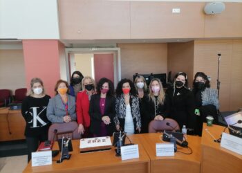 Η πίτα της Περιφερειακής Επιτροπής Ισότητας Φύλων Δυτικής Ελλάδας