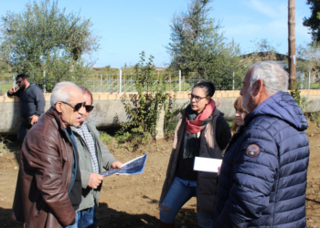 Λύνει προβλήματα καθημερινότητας ο Δήμος Ήλιδας