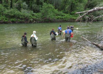 Διεθνές Πανεπιστήμιο της Ελλάδος: “Απόλυτα καθαρός από υδρογονάνθρακες ο υγροβιότοπος του Νέστου”