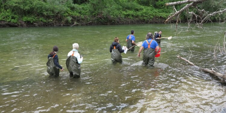 Διεθνές Πανεπιστήμιο της Ελλάδος: “Απόλυτα καθαρός από υδρογονάνθρακες ο υγροβιότοπος του Νέστου”