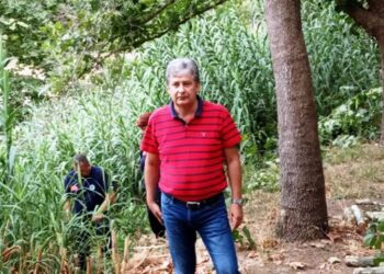 Παγκόσμια Ημέρα Δασοπονίας & Διεθνή Ημέρα Δασών