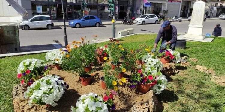 ΔΗΜΟΣ ΠΥΡΓΟΥ: Ο Πύργος “ντύνεται” στα ανοιξιάτικα (φωτος)