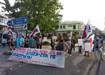 Σωματείο Εργαζομένων στις Εμπορικές Επιχειρήσεις στα Καταστήματα και Υπηρεσίες του Ν. Ηλείας