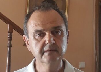 ΠΑΝΑΓΙΩΤΗΣ ΚΟΡΙΣΙΑΝΟΣ: “Σχετικά με το ωφέλιμο έντομο για την σφήκα της καστανιάς”