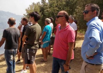 Θ.ΒΑΣΙΛΟΠΟΥΛΟΣ: Θετικό βήμα οι προκαταβολές  αλλά ζητούμε χρονοδιάγραμμα και για όσους δεν πληρώθηκαν…
