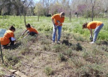 Ημερίδα – συνάντηση εργασίας για το περιβάλλον στην Αρχαία Ολυμπία