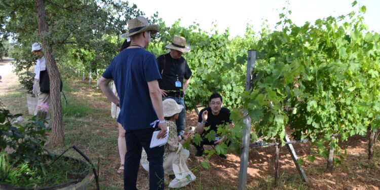 Με επιτυχία το οινικό οδοιπορικό των επαγγελματιών οίνου και δημοσιογράφων της Ιαπωνίας και της Κορέας στη Δυτική Ελλάδα (φωτος και βίντεο)