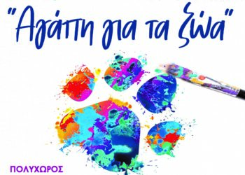 ΔΗΜΟΣ ΗΛΙΔΑΣ: Έξι ζωγράφοι από την Αμαλιάδα ενώνουν τη τέχνη τους για την αγάπη προς τα ζώα