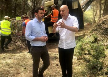 “Σημαντικές παρεμβάσεις για την προστασία των δασών μας”