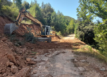 Πραγματικότητα ένα «όνειρο ζωής»