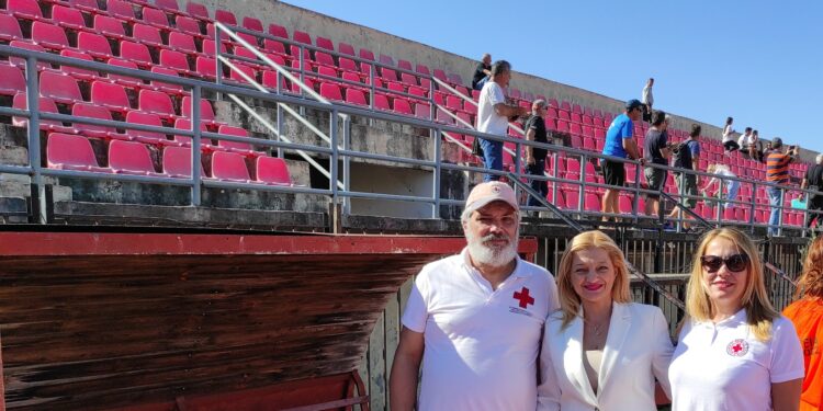 Δράσεις του περιφερειακού Τμήματος Ε.Ε.Σ. Πύργου