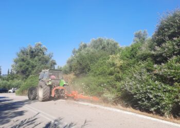 Καθαρισμός και αποψίλωση στην Ε.Ο Πύργου – Τριπόλεως