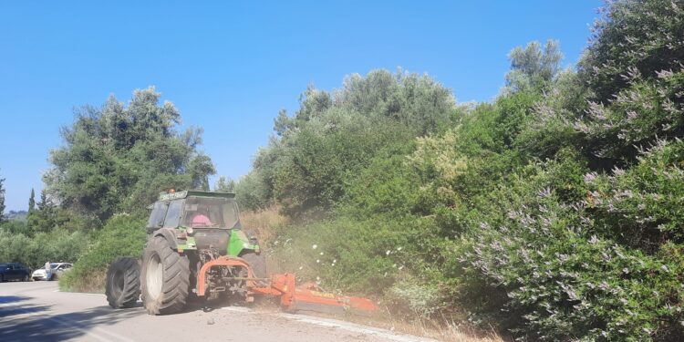 Καθαρισμός και αποψίλωση στην Ε.Ο Πύργου – Τριπόλεως