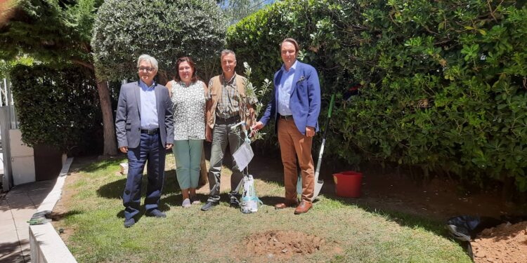 ΟΙΚΟΛΟΓΟΙ ΠΑΡΑΣΙΝΟΙ: Μια ελιά σε μια συμβολική αποστολή ειρήνης για την Ουκρανία