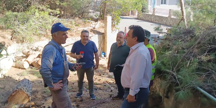 ΔΗΜΟΣ ΠΥΡΓΟΥ: Ξεκίνησε το έργο θωράκισης στο βουνό του Κατακόλου (φωτος)