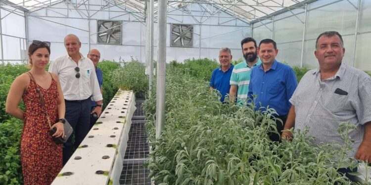 Το μέλλον των καλλιεργειών μέσα από καινοτόμες δράσεις που στηρίζει η Περιφέρεια Δυτικής Ελλάδος