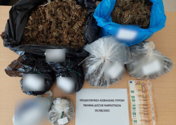 Συνελήφθη άνδρας στην Ηλεία για κατοχή και καλλιέργεια ναρκωτικών