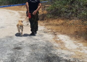 Εφύρα: Νεκρός με τραύμα στο κεφάλι εντοπίστηκε 68χρονος άνδρας
