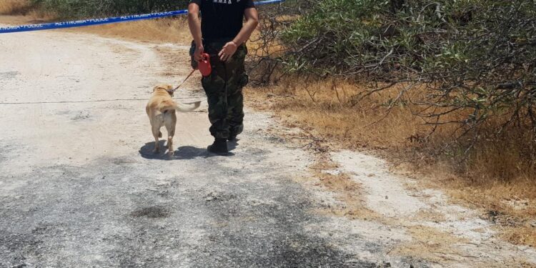 Εφύρα: Νεκρός με τραύμα στο κεφάλι εντοπίστηκε 68χρονος άνδρας