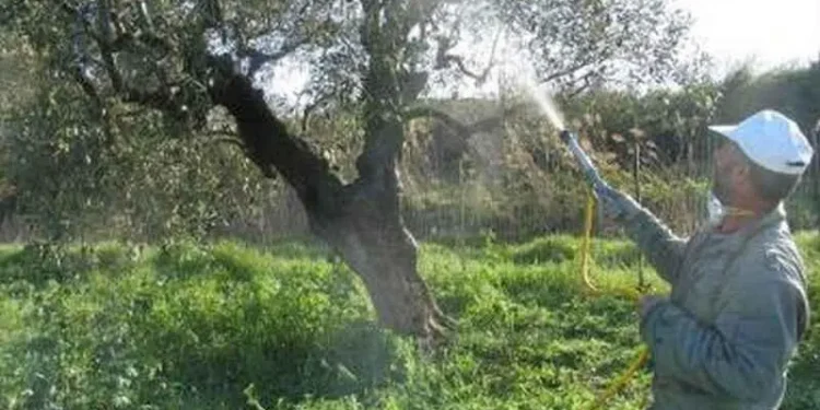 Π.Ε. ΗΛΕΙΑΣ – ΔΙΕΥΘΥΝΣΗ ΚΤΗΝΙΑΤΡΙΚΗΣ: Εισφορά Δακοκτονίας για το ελαιοκομικό έτος 2022 -2023