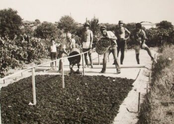 “Ο μαύρος χρυσός” της Ηλείας