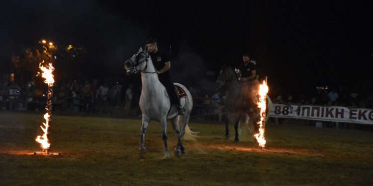 ΓΙΑΝΝΗΣ ΛΕΝΤΖΑΣ: “Δυναμώνοντας η Ιππική Έκθεση, δυναμώνει η Ανδραβίδα, δυναμώνει ο Δήμος μας” (φωτος)