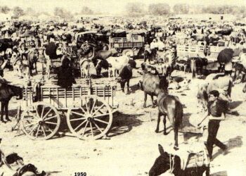 ΔΗΜΟΣ ΠΥΡΓΟΥ:”Ο θεσμός του Βάραγκα στο παρόν και το μέλλον”