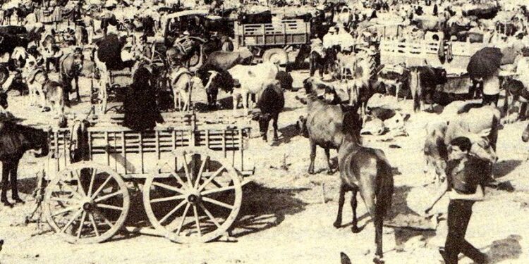 ΔΗΜΟΣ ΠΥΡΓΟΥ:”Ο θεσμός του Βάραγκα στο παρόν και το μέλλον”